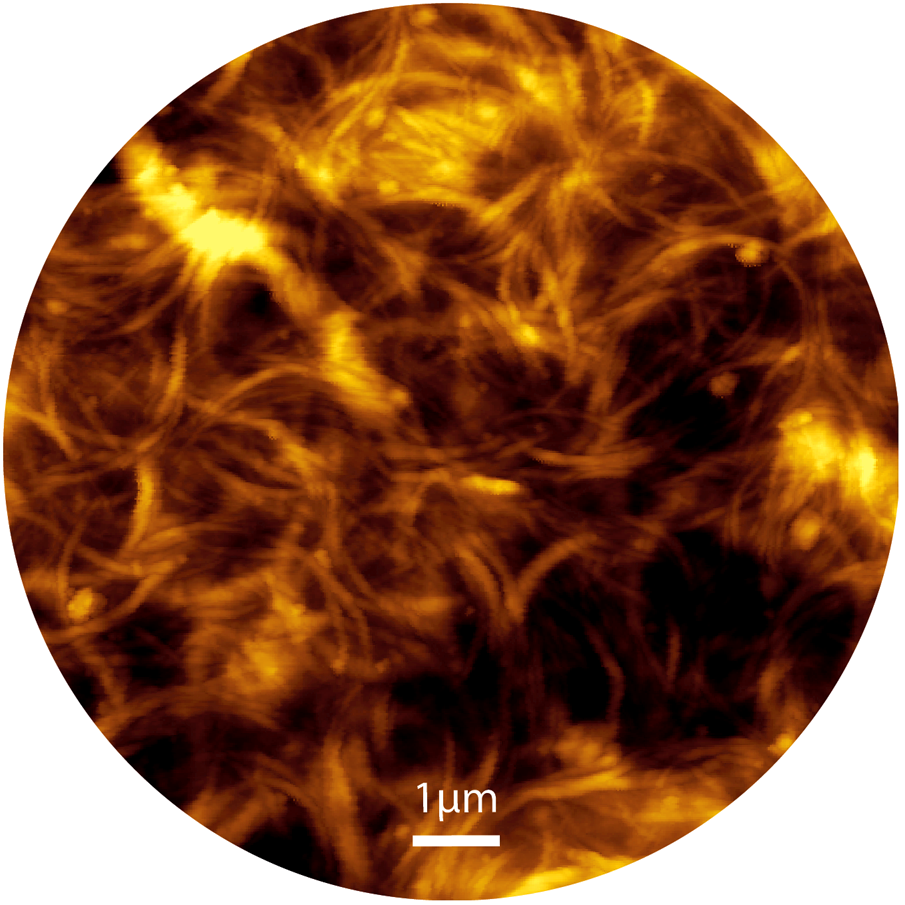 CNT/BSA conductive film on a glass surface, rod-coating